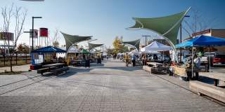 The Grove Gallery 105