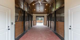 2184 Appaloosa Trail Gallery 3