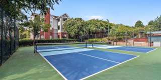 Arium Vinings Station Gallery 25