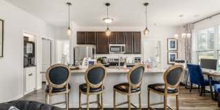 Duncan Park Gallery 5