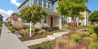 5008 Telegraph Boulevard Gallery 1