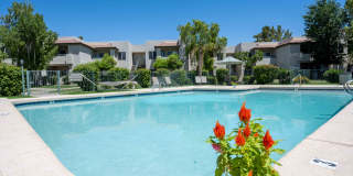 Village at Lakewood Gallery 13