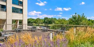 1128 S Michigan Ave Gallery 8