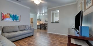 Saddle Ridge Gallery 14