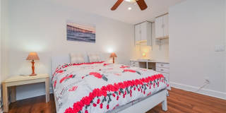 15 Camphor S Gallery 23