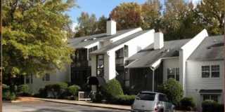 The Hedges Gallery 5