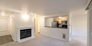1Bd/1Ba Kenmore Condo Gallery 1