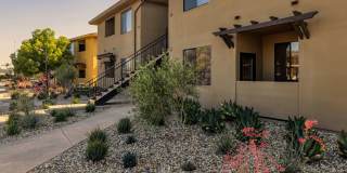 Polo Villas Gallery 4