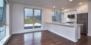 Alcyone Gallery 19