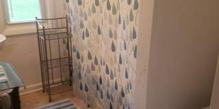 Grand Rapids N.W. Downtown 2 Bdrm Bungalow Gallery 18