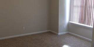COMING SOON - Occupied Gallery 3