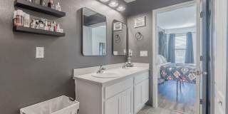 12634 CACAO TREE Trail Gallery 19