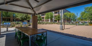 Evolution at Estrella Falls Gallery 33