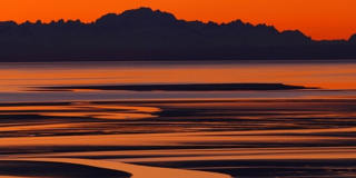 18530 King Eider Lane Gallery 35