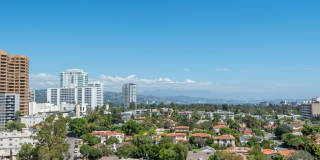 10550 Wilshire Blvd unit: 1204 Gallery 28