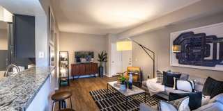 Halstead Centreville Gallery 4