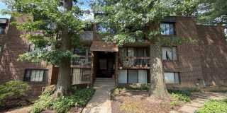 8709 HAYSHED LN #33 8709 HAYSHED LN #33 Gallery 1