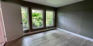 double lake front 4/2 house with swimming pool Gallery 28
