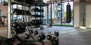 Hyde Square Gallery 30