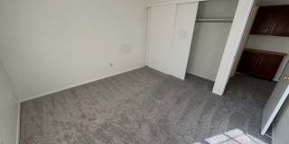 Live in the Timbers Gallery 13