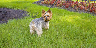 Orchard Hills Apartments Gallery 23