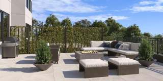 Royal Blue Gallery 18