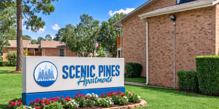 Scenic Pines Gallery 1