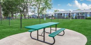 Sussex Downs Gallery 76