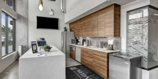 Proxy 333 Gallery 17