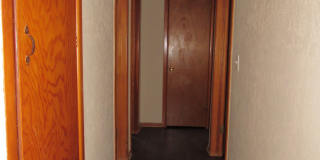 Pet Friendly Home! Gallery 8