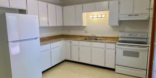 Cute House with Amazing Yard! Gallery 11