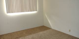 Palm Springs Villas - One Bedroom Condo Gallery 9