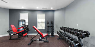 TGM Bull Run Gallery 35