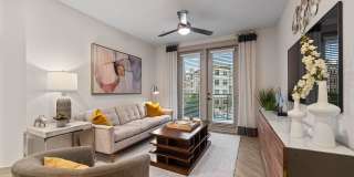 Knox at Metrocenter Gallery 25