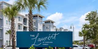 The Laurent at Carolina Forest Gallery 1
