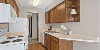 Beach South Gallery 1