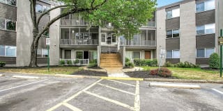 Verona at Silver Hill Gallery 8