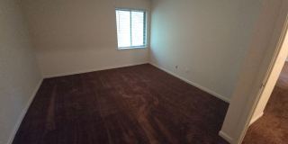 Rosewood Gallery 14