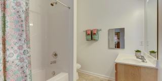Lee Trace Gallery 9