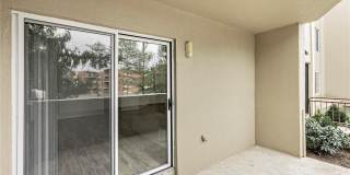 26101 Village Lane Gallery 37