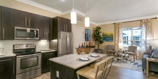 Aster Apartments Gallery 8