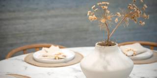 229 Bonair St Gallery 19