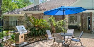 Forest View Gallery 20