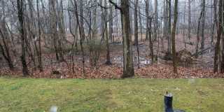 240 Hidden Woods Court Gallery 39