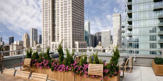 The Dylan The Dylan Gallery 17