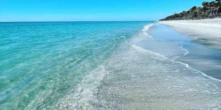 333 THE ESPLANADE N Gallery 48