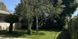 5412 Hazeltine Ave Gallery 3