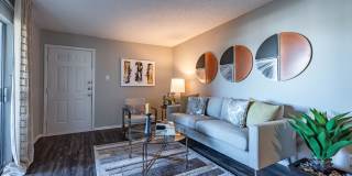 The Clara The Clara Gallery 6