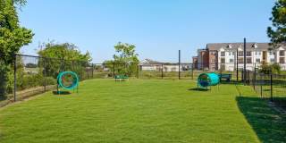 Stone Creek Gallery 24