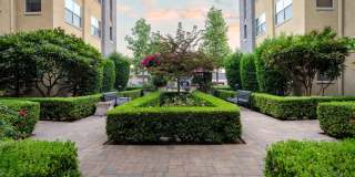 Paragon at Old Town Gallery 9